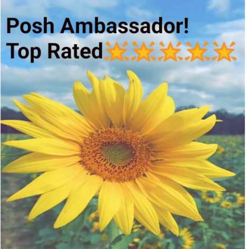 🌟 Posh Ambassador II